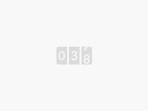 Symbol eines Zählers, der die Zahl 038 anzeigt