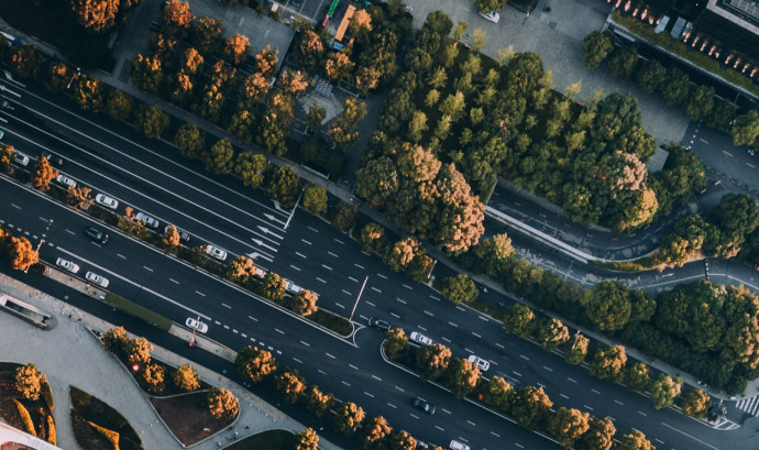 Road with moving cars and trees on the edge from above