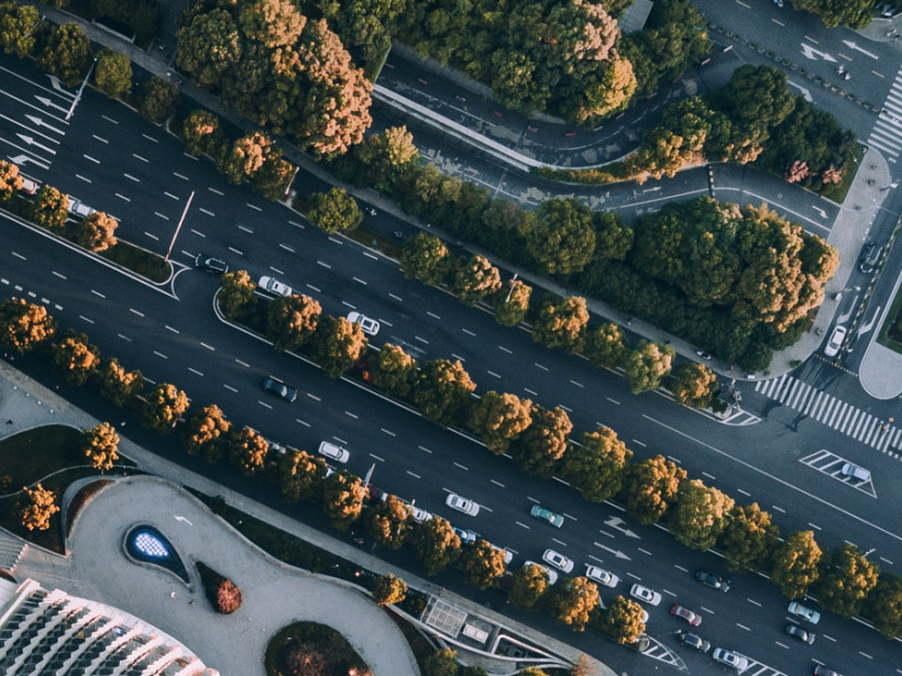 Road with moving cars and trees on the edge from above